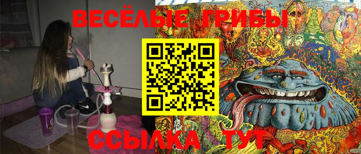 Чебаркуль  Галлюциногенные грибы Magic Shrooms  Вход с VPN 